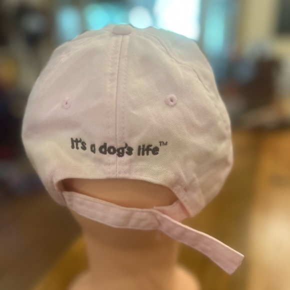 Obedience School drop out cap in used condition - Picture 3 of 8